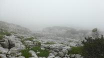 Nebel uns Felsbrocken