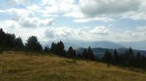Ausblick