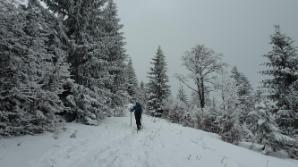 Wandern im Pulverschnee