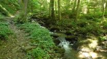 Steinbachklamm