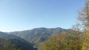 Ausblick zum Muckenkogel